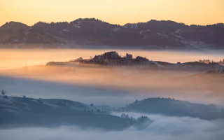 Amber, a photo by Andreas Slotosch Amber, a photo by Andreas Slotosch