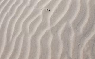 Drift, a photo by Mick Haupt Drift, a photo by Mick Haupt