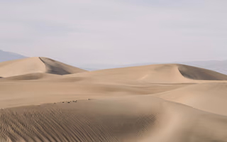 Dunes, a photo by Brad Stell Dunes, a photo by Brad Stell