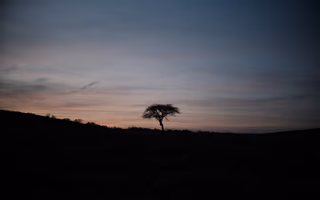 Dusk, a photo by al Dusk, a photo by al