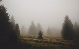 Fog, a photo by Fabien TWB Fog, a photo by Fabien TWB