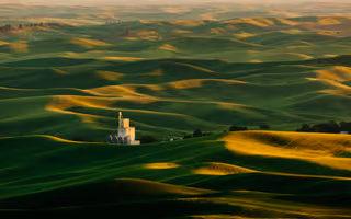 Harvest, a photo by Dave Hoefler Harvest, a photo by Dave Hoefler