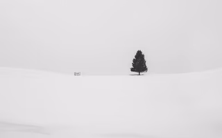 Hush, a photo by Cristina Gottardi Hush, a photo by Cristina Gottardi