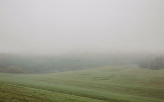 Meadow, a photo by Moriah Wolfe Meadow, a photo by Moriah Wolfe