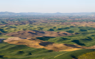 Palouse, a photo by Caleb Riston Palouse, a photo by Caleb Riston