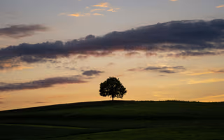 Sundown, a photo by Pascal Debrunner Sundown, a photo by Pascal Debrunner