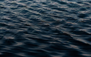 Swell, a photo by Nathália Arantes Swell, a photo by Nathália Arantes